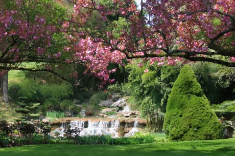 apremont parc cascade