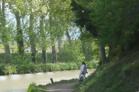 cyclist on towpath