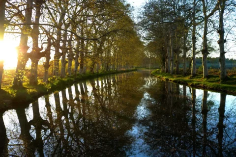 morning light canal du midi